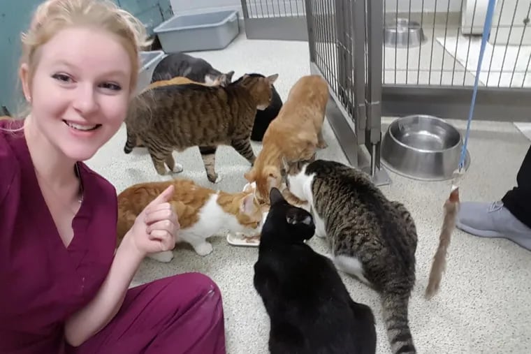 Kaitlyn O'Hara and just a few of the many cats she loved.