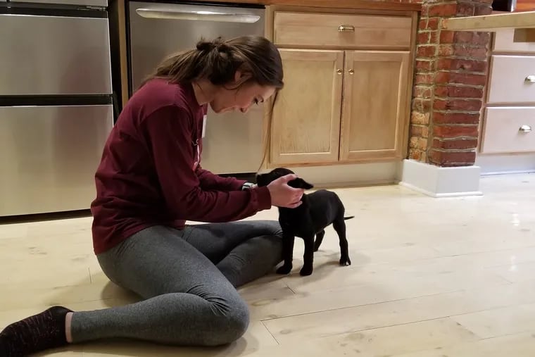 Kait Dowling with Leia, the puppy she owned with her boyfriend Tom Minix. The couple is suing the Groom and Board day care for negligence, claiming Leia's October 2019 death was caused by the day care allowing the dog to get loose and get hit by a car.