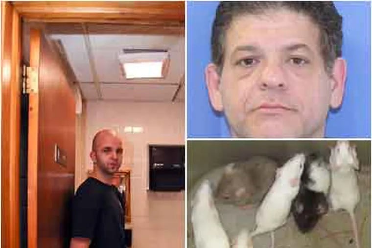 Fanis Facas (left), co-owner of Verona Pizza in Upper Darby, shows the bathroom stall where Nikolas Galiatsatos (upper right) allegedly deposited a bag of mice in the ceiling. Lower left are the mice.