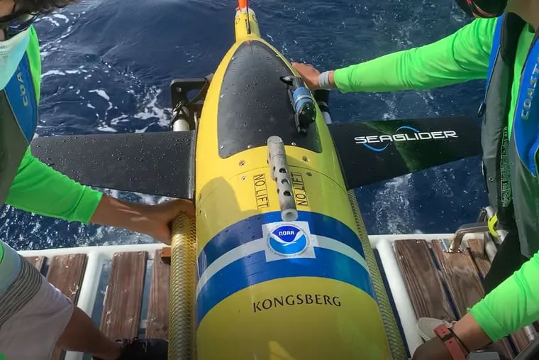 Scientists launch one of 30 ocean gliders to track ocean temperature and salinity.