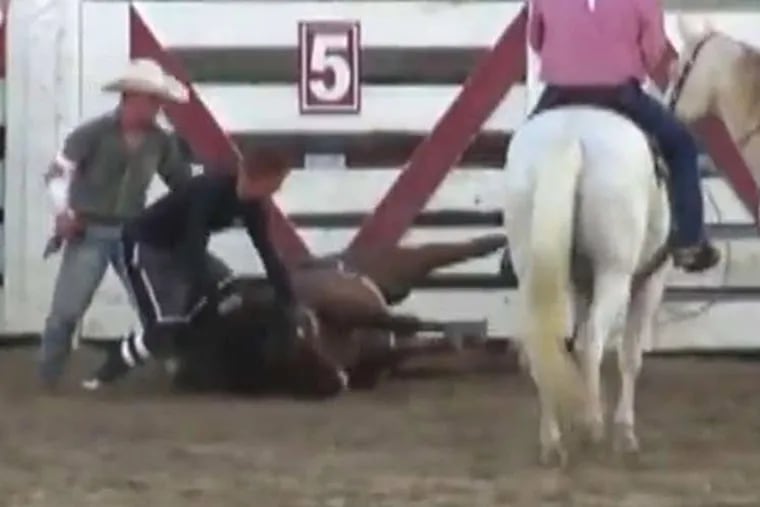 The death of a horse Saturday night at Cowtown Rodeo in South Jersey has prompted allegations of animal cruelty.