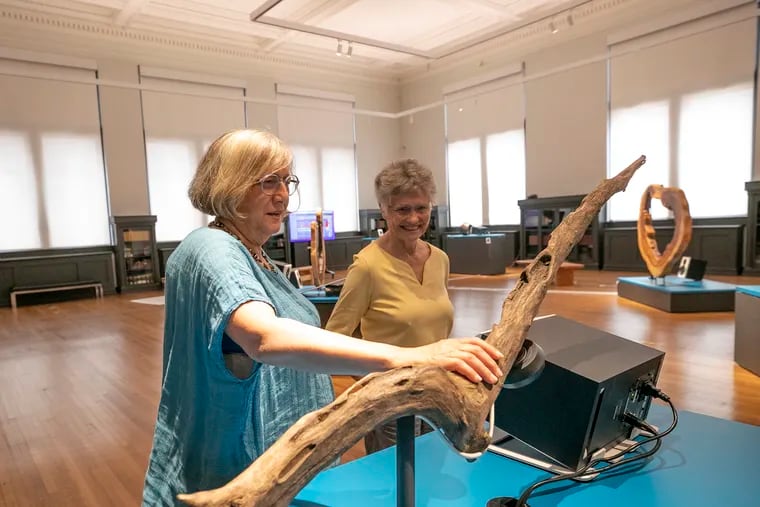 Artists Liz Phillips, left, and Annea Lockwood, observe pieces for their upcoming exhibit, “The River Feeds Back,” at the Academy of Natural Sciences. in Philadelphia on Thursday, May 26, 2022. The exhibit is a sound installation that was recorded along 135 miles of the Schuylkill River.