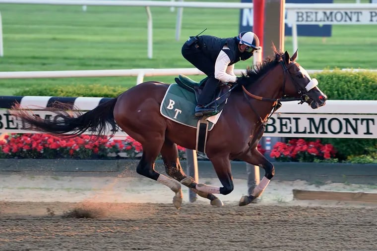 Tiz the Law, shown training last weekend at Belmont Park, opened as a 6-5 favorite for Saturday's Belmont Stakes. He last raced in March, winning the Florida Derby by more than four lengths.