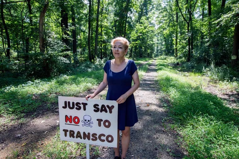Bordentown Mayor Jill Popko stands in a wooded area in the Federal Estates Open Space that would be destroyed.