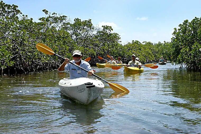 Kayakers paddle through the mangroves during a tour of the 40-acre Lucayan National Park.