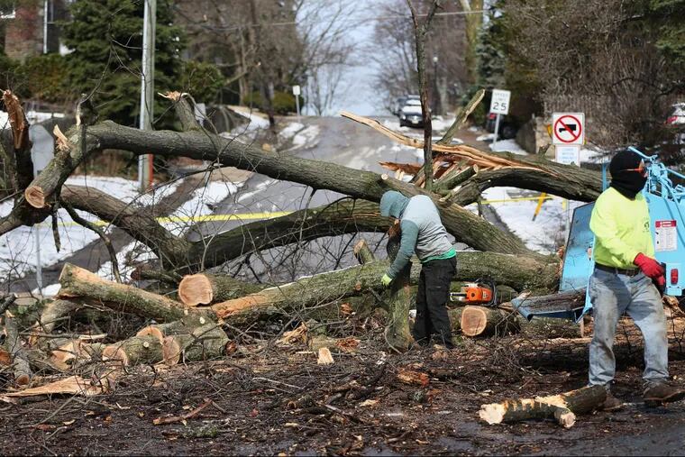 Workers clean up a tree that fell and blocked all lanes of City Avenue at Henley Road on Saturday, March 3, 2018.