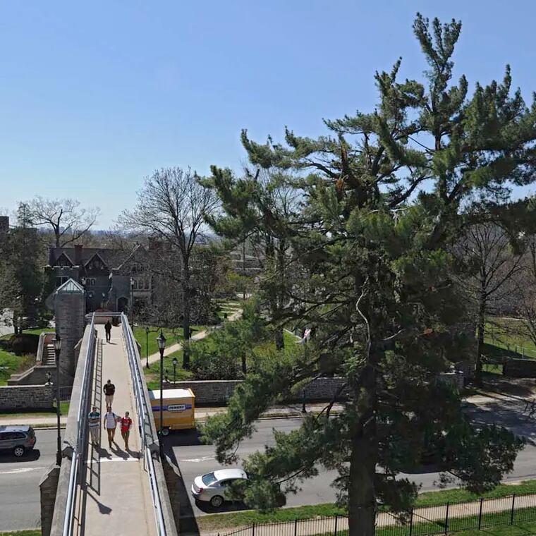 File photo overlooking campus of St. Joseph's University in 2014.