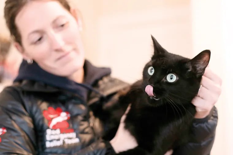 Jen Leary, founder of Red Paw Emergency Relief Team, holds Princess, a cat who was rescued from a West Philadelphia fire earlier in the day, Nov. 21, 2014. Princess suffered a burn on her back right paw but remained in good spirits. (Andrew Thayer / Staff Photographer)