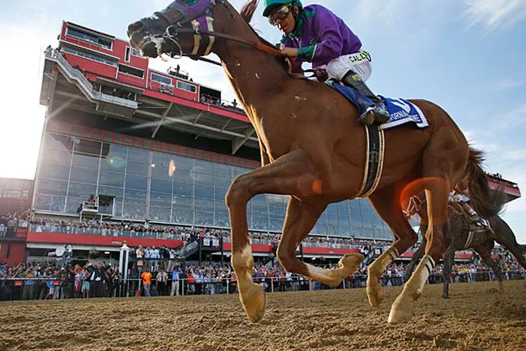 California Chrome, ridden by jockey Victor Espinoza, wins the 139th Preakness Stakes horse race at Pimlico Race Course, Saturday, May 17, 2014, in Baltimore. (Matt Slocum/AP)