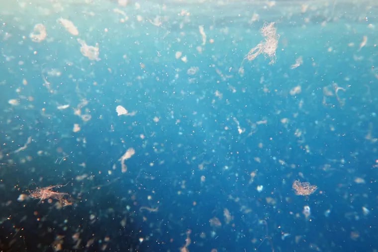 File: Water contaminated by microplastics.