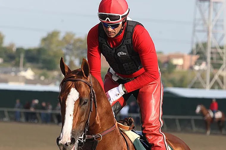 In this image provided by Equi-Photo, Kentucky Derby and Preakness Stakes winner California Chrome, with exercise rider Willie Delgado (AP Photo/Equi-Photo, Bill Denver)