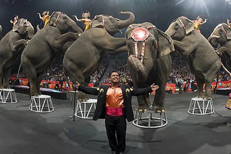 The elephant herd was once an iconic symbol of the Ringling Bros. Circus. The herd was retired in 2016 and the circus closed a year later.