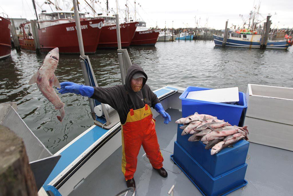 N.J. fishing industry works to recover from Sandy