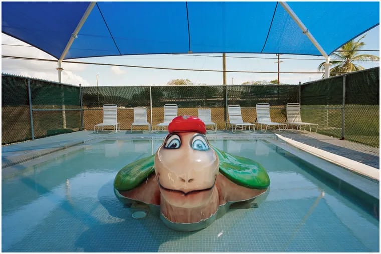 Make sure pools have plenty of chlorine or bromide. Giant turtles are optional.