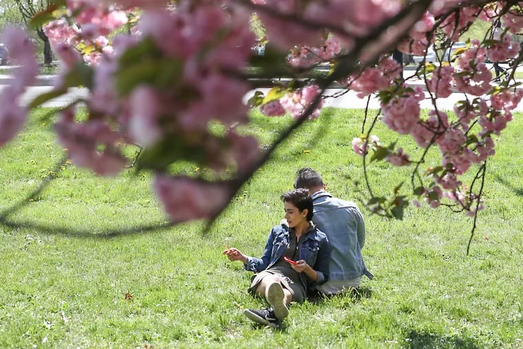 Akansha Sareen (left) and Vikram Patnaik rest underneath the cherry blossom trees behind the Please Touch Museum as they savor another warm, dry April day in Philly on Tuesday.
