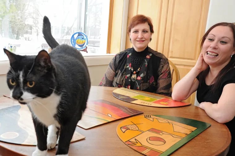 Jeana Hoffman (right), laughs at her former cat Sid -- now known as Ansel Catams by his new owner Linda Rosenson Coe (left) -- in the kitchen of Rosenson Coe's home in Cherry Hill Jan. 26, 2014.  Sid (Ansel) was lost during a hurricane in 2011 and was found by Rosenson Coe in her backyard and has been living with the family ever since.  Hoffman and her family found the cat via social media and were impressed with how Sid (Ansel) was being treated in the Rosenson Coe household that they decided to let the family keep him. (CLEM MURRAY/Staff Photographer)