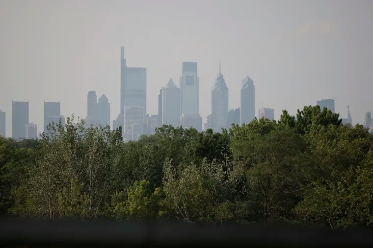 FDR Park in South Philadelphia provides lush greenery in the foreground compared to the hazy Center City skyline in the background in 2023.