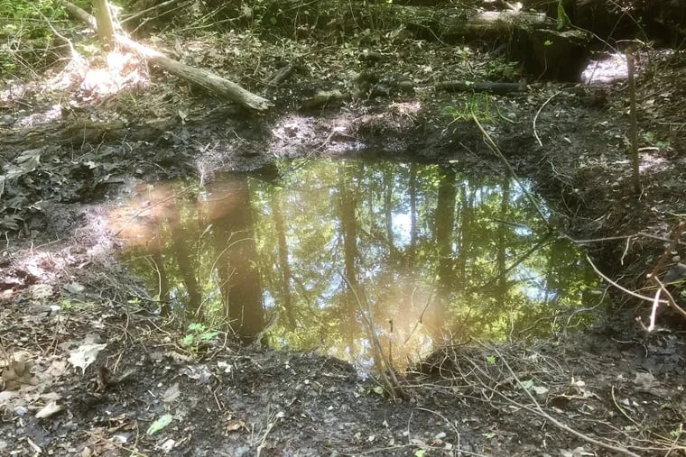 This crater was left behind in Upper Black Eddy, Bucks County, after a mysterious, late-night explosion on May 13, according to nearby resident Nick Zagli. Federal and state authorities are probing a series of these explosions in rural Bucks County.