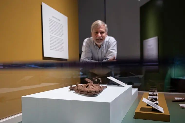 In 2004, Ted Daeschler, a storied paleontologist at the Academy of Natural Sciences, helped discover a 375-millon-old fish believed to be a key evolutionary link. "Tiktaalik roseae" returns to Philadelphia for a new show.