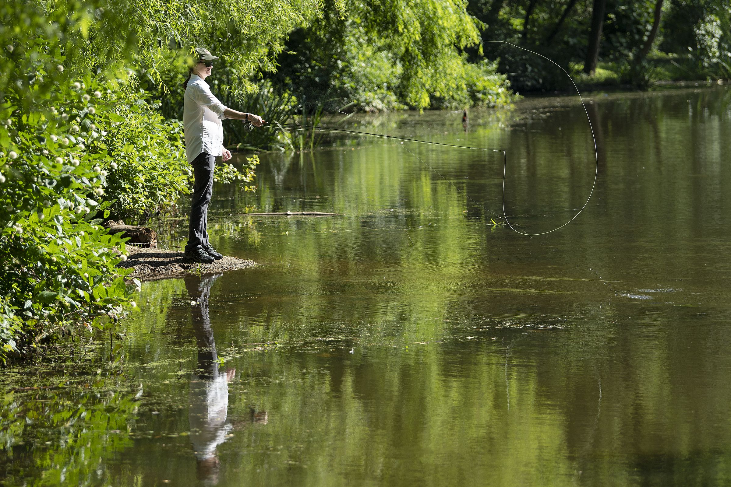 Trap Pond State Park - Trap Pond Weekly Fly-Fishing Posts Why Fly