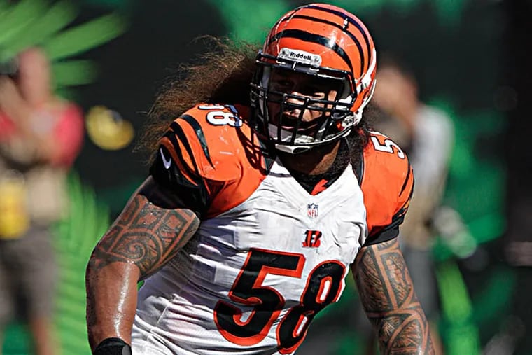 Cincinnati Bengals' Rey Maualuga plays against the Cleveland Browns during an NFL football game Sunday, Sept. 16, 2012 in Cincinnati. (Jay LaPrete/AP file)