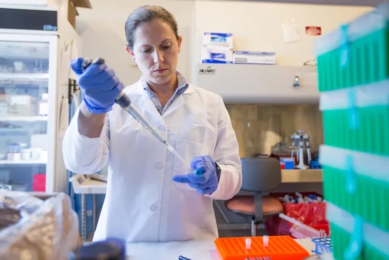 Maggie Schmierer, director of the CytoVas research lab inside Pennovation, works in her lab.