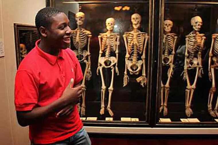 Kenneth Bourne surveys the skeletons at the Mutter Museum. (Lawrence Kesterson/Staff)