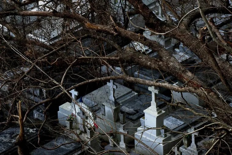 Downed trees rest on tombs at the cemetery in Lares, Puerto Rico, after the passing of Hurricane Maria.