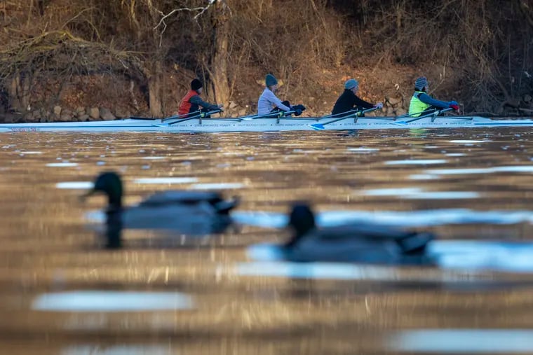 Rowers share the Schyulkill with waterfowl on Monday, when temperatures rose into the 60s. That was the fourth time this month that high temperatures swung at least 20 degrees in one day.