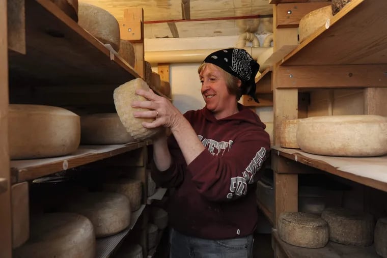 In a pre-pandemic photo, Sue Miller of Birchrun Hills Farm in Chester Springs turns wheels of Equinox (an alpine-style cheese) in an aging room. Birchrun Hills has started offering virtual cheese tastings to offset the low price of milk and the loss of restaurant business.