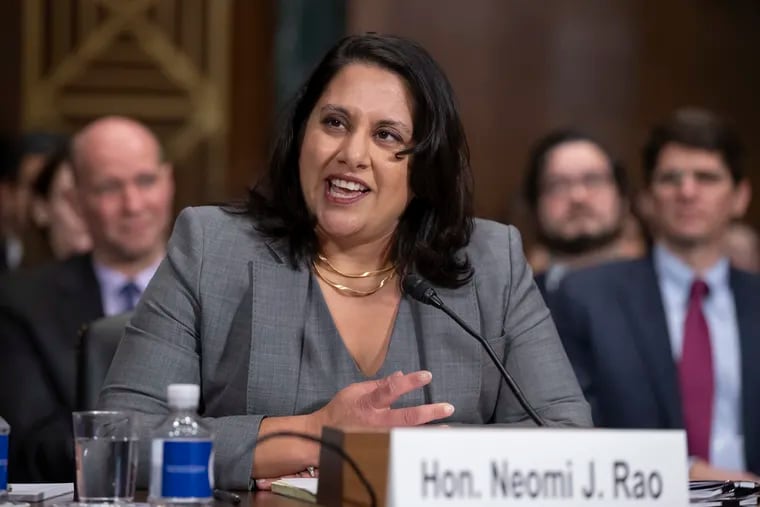 Neomi Rao, President Donald Trump's nominee for a seat on the U.S. Court of Appeals for the D.C. Circuit, appears before the Senate Judiciary Committee for her confirmation hearing, on Capitol Hill in Washington, Tuesday, Feb. 5, 2019.