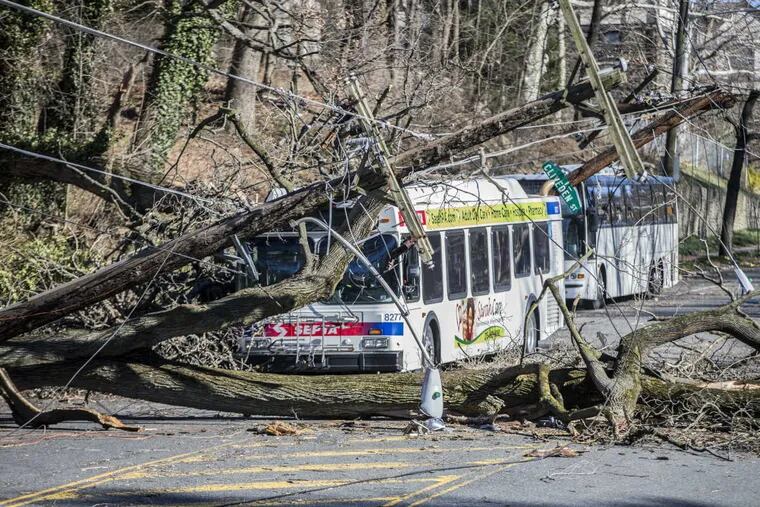 A bus is covered by a tree that collapsed onto power lines due to a storm last Friday in Bryan Mawr, Pa., Sunday, March 4, 2018. The road is closed until crews can clean the mess.