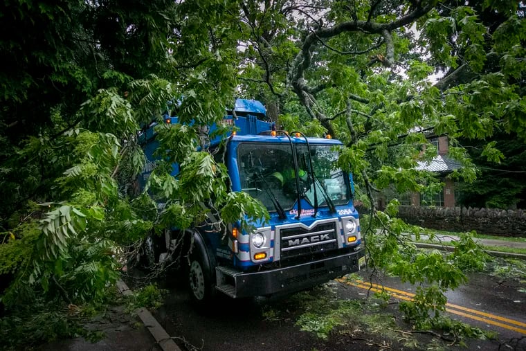 A commercial trash truck opted not to go under the canopy of branches from a fallen tree along School House Lane in East Falls Wednesday.