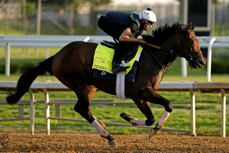 Sierra Leone, among the Kentucky Derby favorites at 3-1 odds, works out at Churchill Downs on Wednesday.