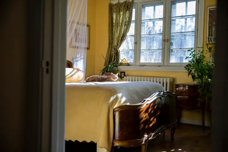Anne Kaier's cat, Archie, loves to bask in the sun streaming into Anne Kaier's bedroom in Center City Philadelphia. Kaier wrote a book about the house and her previous cat. It's called "Home with Henry."