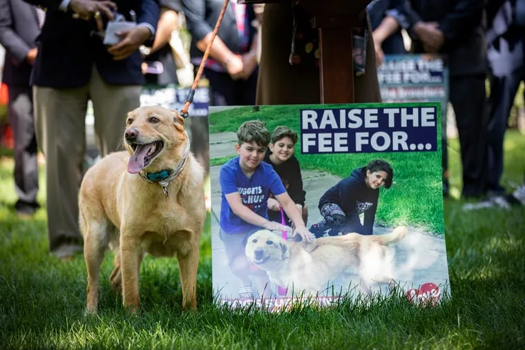 Advocates — including Levi Fetterman, Lt. Gov. John Fetterman's family dog — have called on the legislature to increase the licensing fee paid by dog owners.