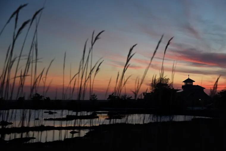 Wetlands just outside of Stone Harbor, N.J., absorb flood waters and filter out pollutants.