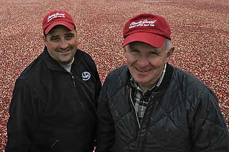 South Jersey cranberry growers, such as the Lees, savor the harvest.(David M Warren / Staff)