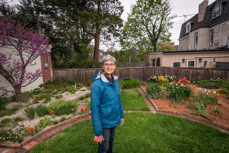 A dwarf redbud tree (left) thrives in Janet Novak's Chestnut Hill garden, which features 930 different plants, a mix of native and non-native species.