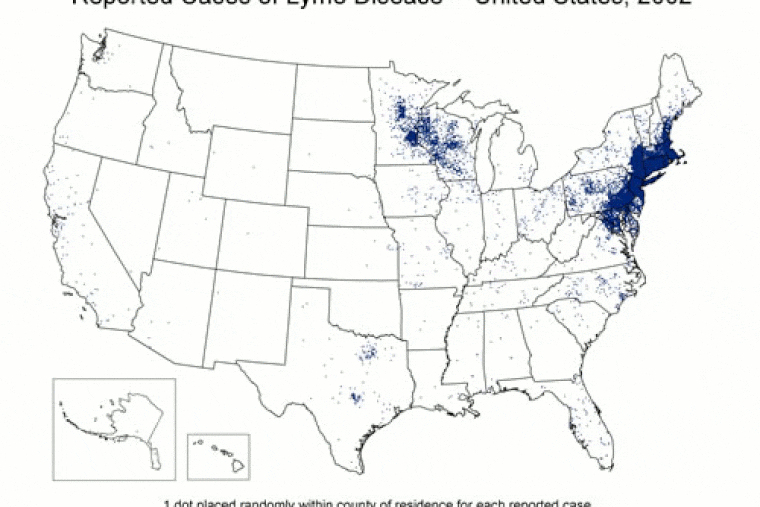 Pennsylvania has reported the most cases of Lyme disease in the country for several years in a row. Each dot represents one confirmed case of Lyme in 2016 and is placed randomly in the patient’s county of residence.