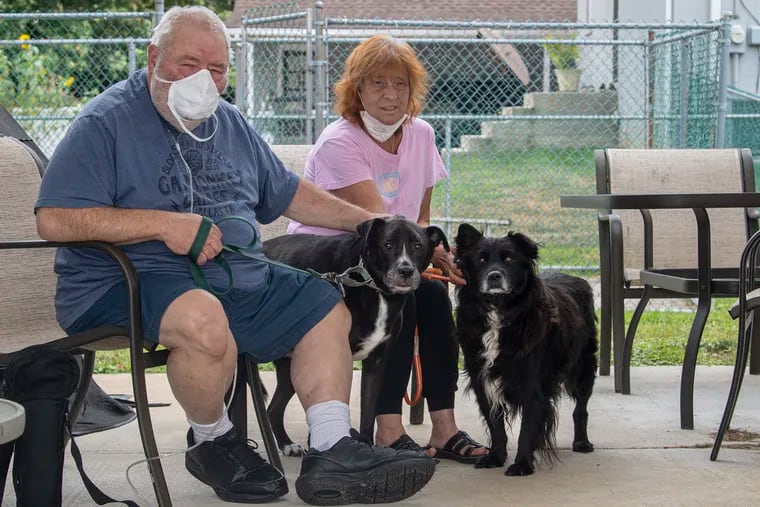 Sandy and Tony Lange  are photographed with their dogs Flip and Popcorn at their home in Feasterville. They adopted the older dogs from the Grey Nose Society, a Philadelphia animal program that matches senior dogs with senior citizens.