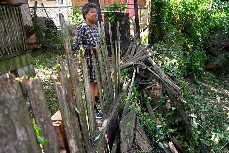 Linda Smalley surveys the damage to her fence and the adjoining yard, now that she can stand in the backyard of her Germantown home. A tree that fell in 2016 was finally removed on Wednesday.