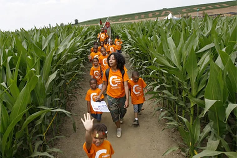 Camp counselor Stephanie Chavers leads the day campers in her group through Cherry Crest Adventure Farm's "Amazing Maize Maze" while supervisor Rohan Arjun brings up the rear with the ladybug flag.( Michael S. Wirtz / Staff Photographer )