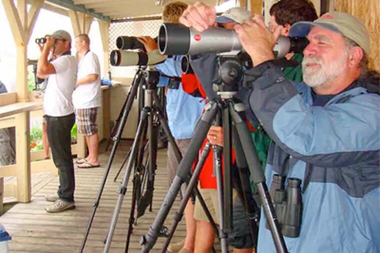 Vince Elia, of the New Jersey Audubon Society, and other birders watching for unusual species out over Delaware Bay on Sunday in Cape May. (Louise Zamaitis / Swallowtail Studio)