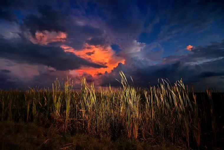 This October 2019 photo shows a clearing late-day storm adding drama in the sky over a sawgrass prairie in Everglades National Park in Florida.