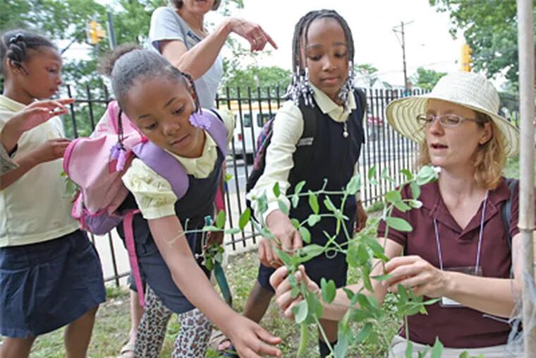 Kimberly Labno, the Master gardener coordinator, left, shows Wonnaya McFarland, 9, left, and Chyna Mitchell, 9, center, how there beans are growing in the garden next to the school. ( Michael Bryant / Staff Photographer )