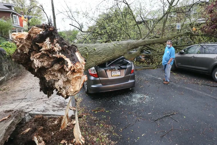 Stuart Katz looks over at neighbors' cars in the 100 block of West Durham street in Mount Airy. High winds took the tree down damaging several cars on April 30.
