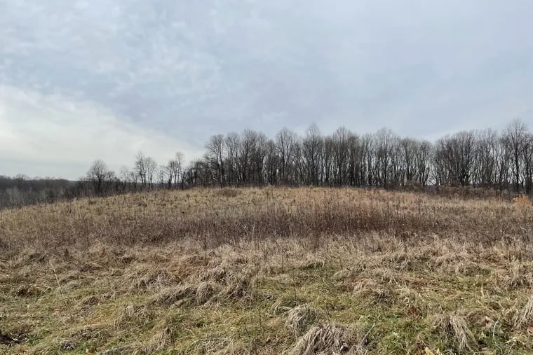 View of a 46-acre tract formerly owned by the Sisters of St. Francis that will become a park in Aston, Pa.