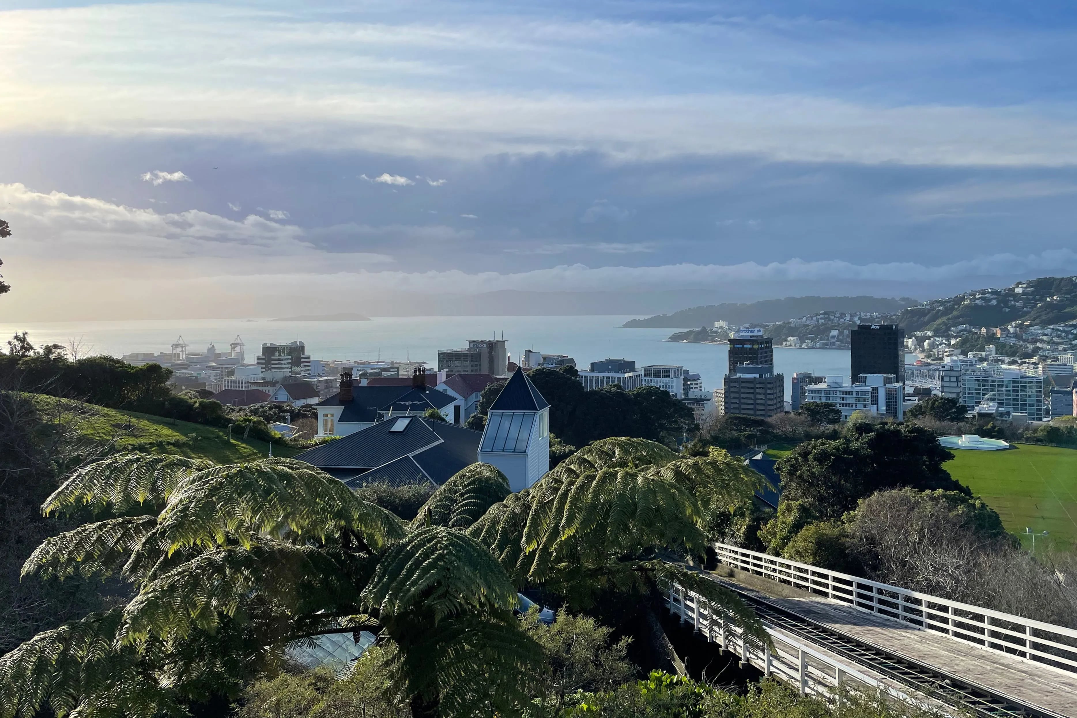 The skyline and harbor of Wellington, New Zealand.