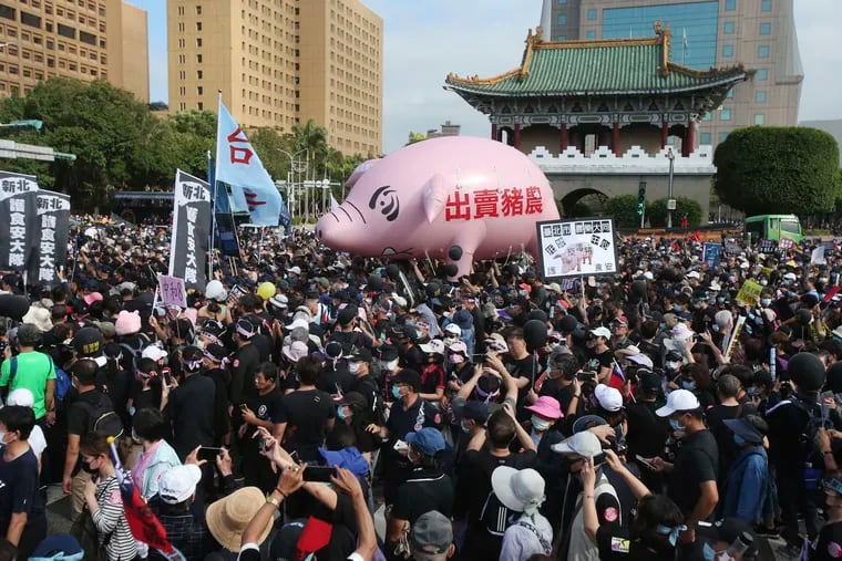 Taiwanese people hold pig model with slogan "Betray Pig Farmers" and gathered to protest against the relaxation of statutory restrictions from U.S beef and pork in Taipei, Taiwan, Sunday, Nov. 22. 2020.